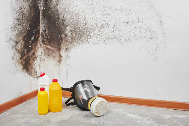 Best Residential Mold Remediation in Juneau, AK