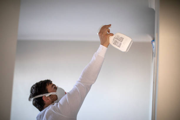 Best White Mold Remediation in Juneau, AK
