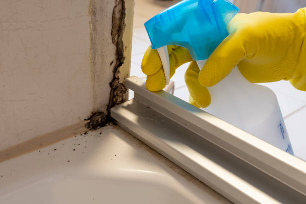 Best Mold Remediation for Specific Building Types in Juneau, AK