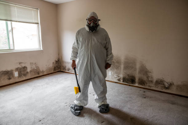 Best Crawl Space Mold Remediation in Juneau, AK